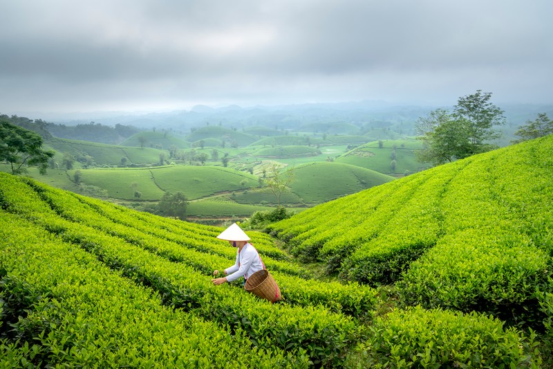 Hà Nội – Nghĩa Lộ